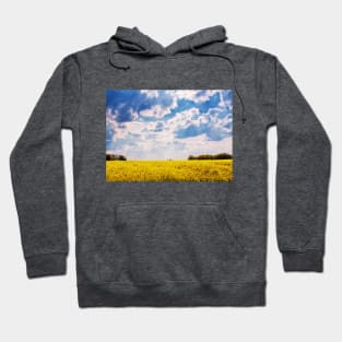 Flower Field (Warm) Hoodie